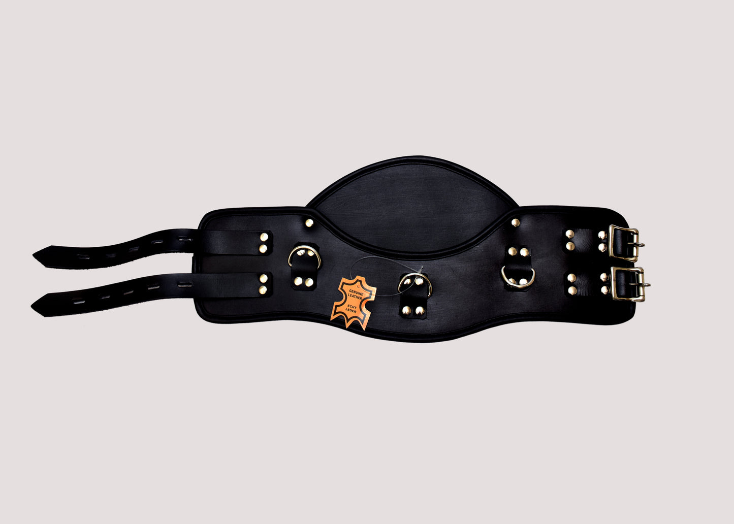 Heavy Duty Padded Leather BDSM Posture Collar – Bondage Restraint Neck Collar
